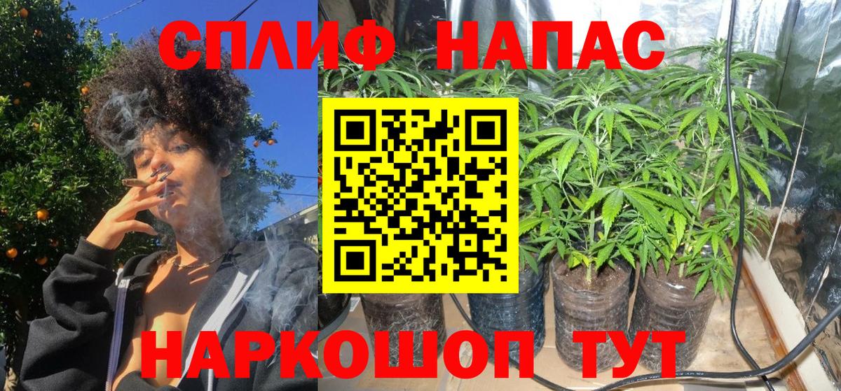 Шишки марихуана White Widow  Бошки марихуана ГИДРОПОН  Ставрополь  Шишки марихуана сатива  Конопля MAZAR  Вход с VPN 